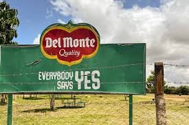 Death at Del Monte Kenya