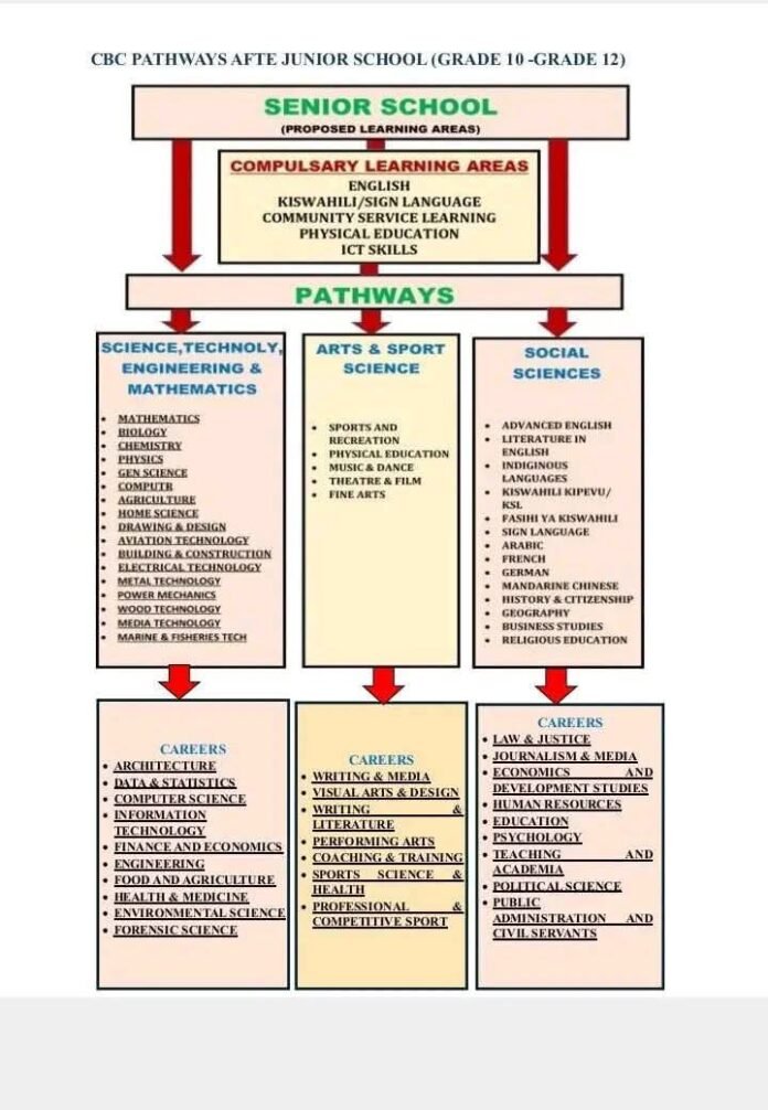 2025-kjsea-results-released-how-to-access-results-top-news-kenya