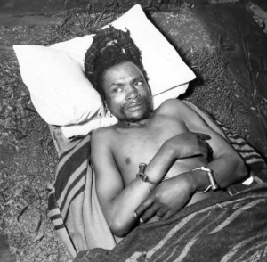 He chose the forest over silence: A story of defiance and freedom