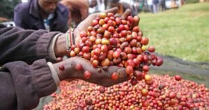 Billions set aside to lift coffee and sugar farmers as govt pushes for economic stability