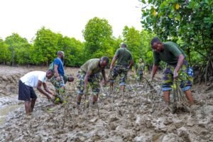 Kenya Navy leads mangrove restoration drive in Kwale with 10,000 seedlings