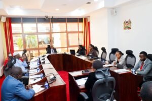 Senate pushes for financial independence of county public service boards