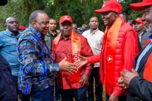 Uhuru leads Jubilee party delegates meeting in Kiambu as party intensifies grassroots reorganisation
