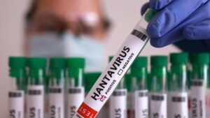 what is Hantavirus