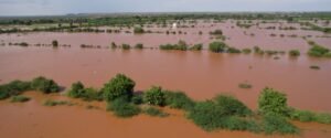 El Niño likely to return in 2026 as Kenya braces for wetter end-year season