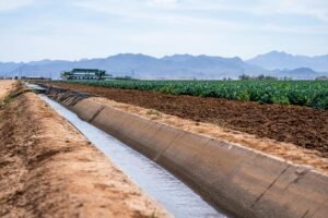 Government secures Sh3 billion to expand irrigation projects in Western Kenya