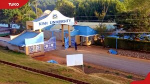 Kisii University scholarships: Courses, requirements and how to apply