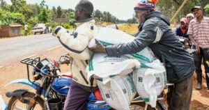 How Ruto’s new maize seed and fertiliser subsidies will work
