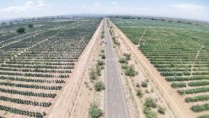 Baringo-Nakuru road project advances as 30km stretch completed