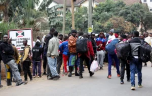 East Africans in Kenya: What you need to know about entry, work and trade
