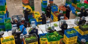 Kenya’s Sh93 Billion startup reckoning: Why 13 of its biggest Tech bets failed